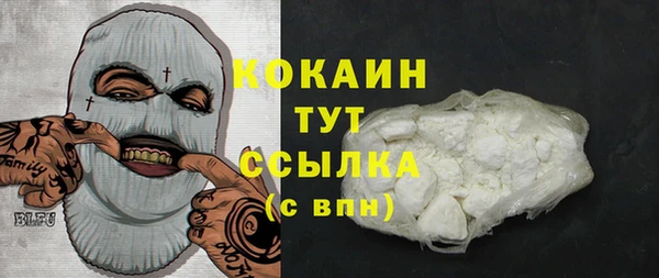 молекула духа Горно-Алтайск