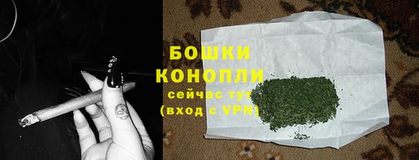 экстази Горняк