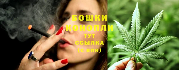 экстази Горняк