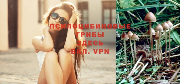 СК Горнозаводск