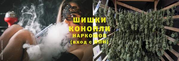 СК Горнозаводск