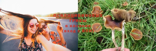 экстази Горняк