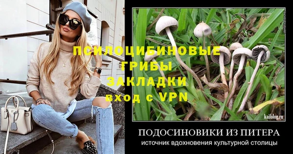 СК Горнозаводск